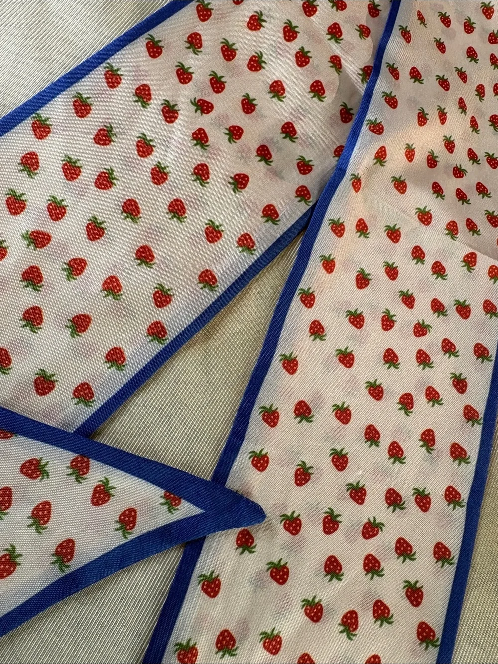 Strawberry Print Bag Scarf with Blue Trim